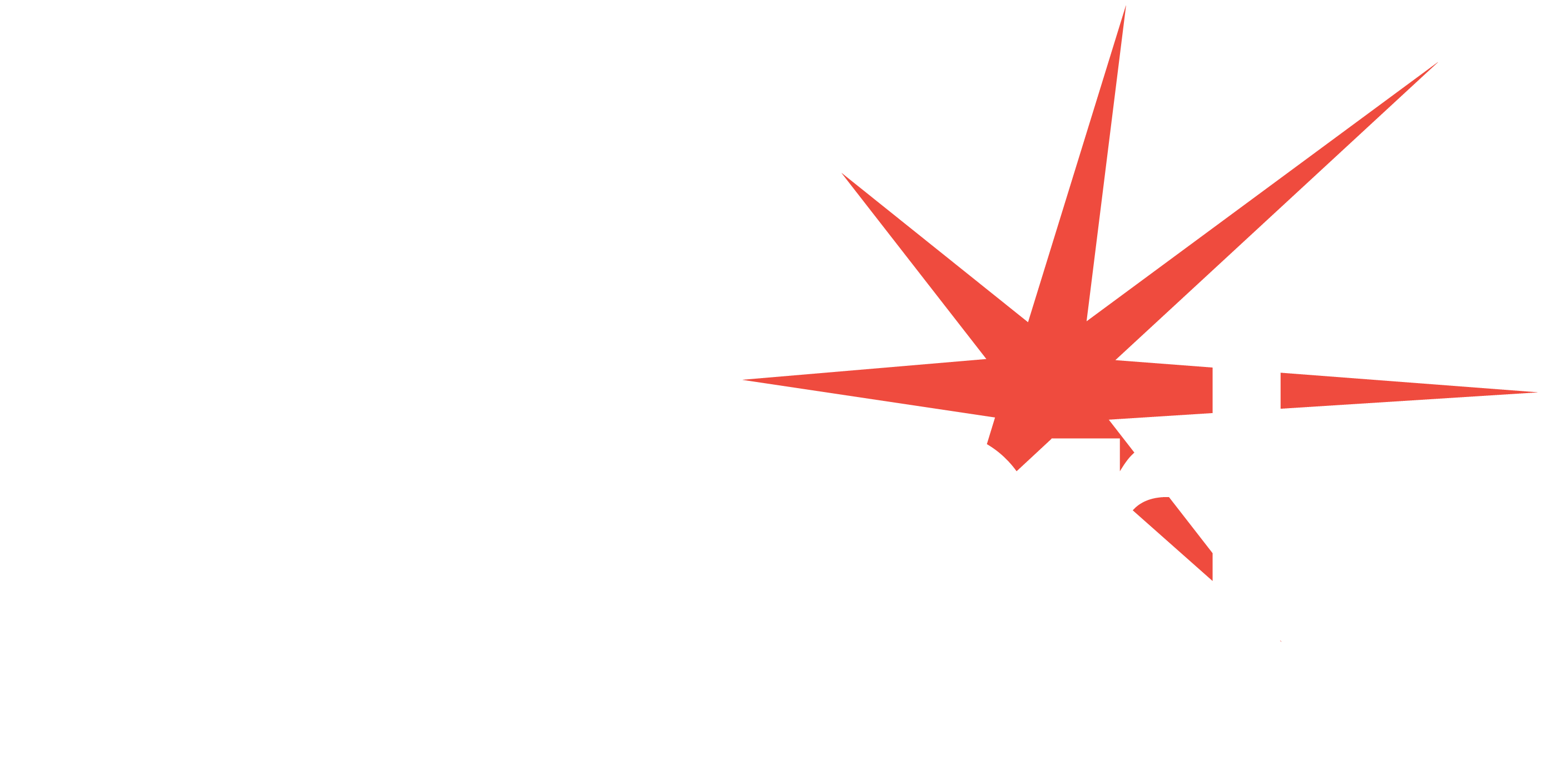 LS_WhiteonPurple_logo