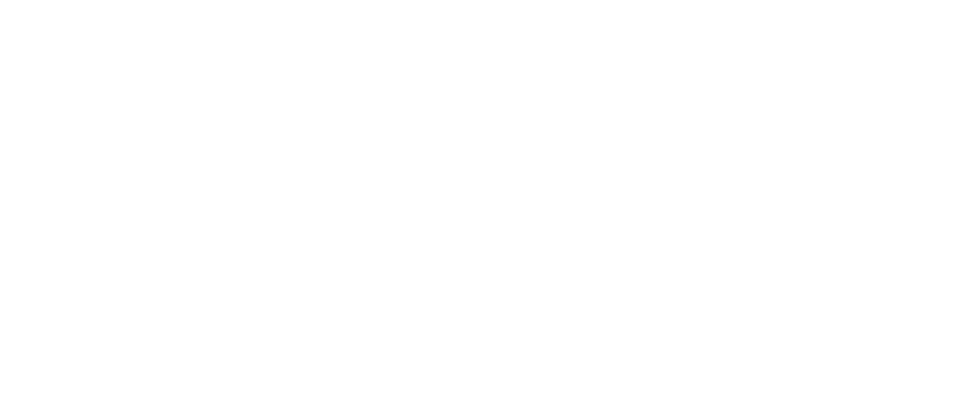 Lifespark-Logo-White